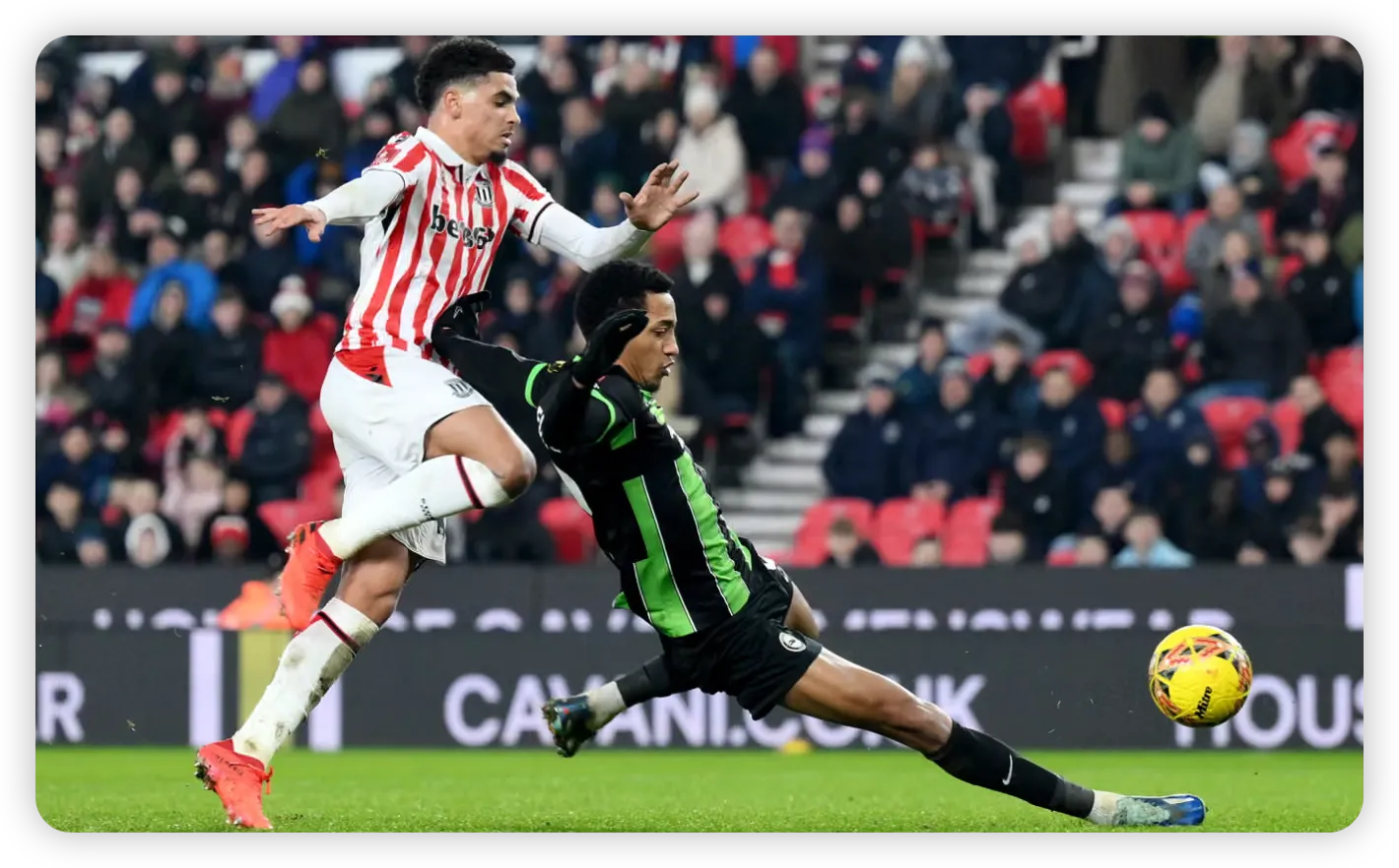 Seagulls Survive Stoke Scare with Late Heroics