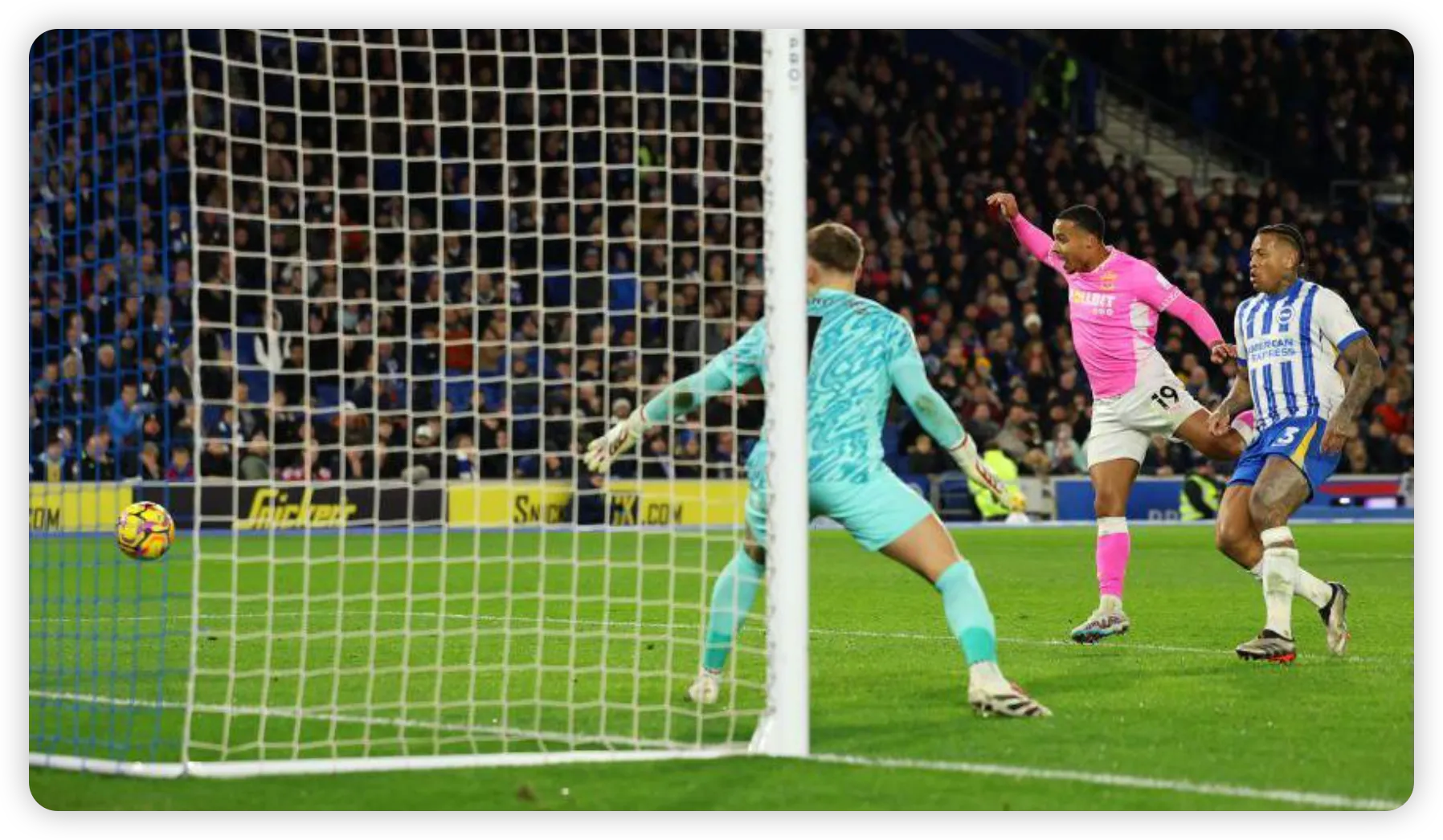 Fiery Clash at the Amex as Managers Lock Horns