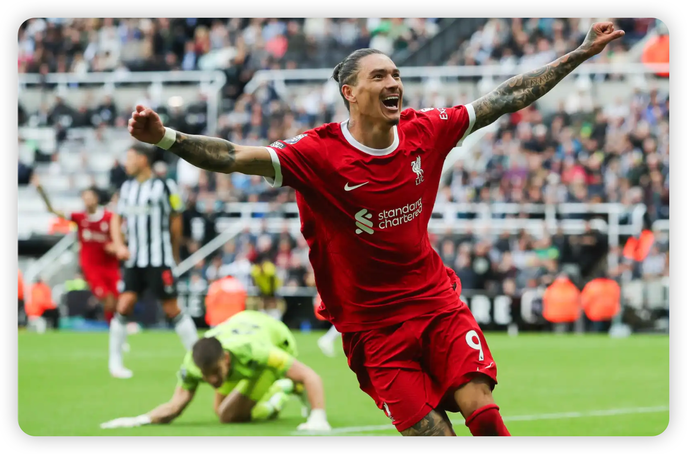 The Turbulent Adaptation Phase